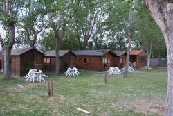 +IMG_2307.jpg
