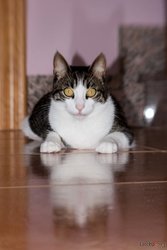 IMG_5819f.jpg