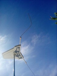 IMG_20160626_175111.jpg