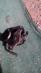 IMG_20160711_180116.jpg