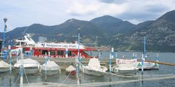 IMG_9351.jpg