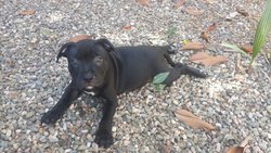 IMG-20160726-WA0011.jpg