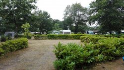 IMG_20160728_102241.jpg