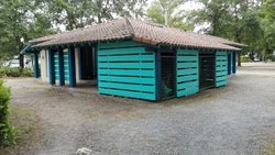 IMG_20160728_102313.jpg