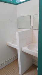 IMG_20160728_102547.jpg