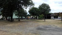 IMG_20160728_103353.jpg