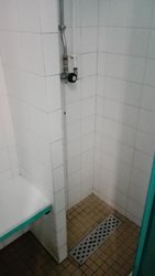 IMG_20160728_102331.jpg