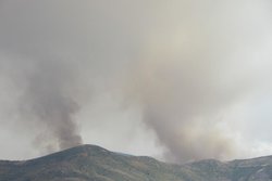 IMG_0895.jpg