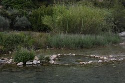 DSC_0121.jpg