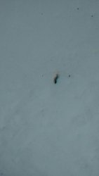 IMG-20160830-WA0005.jpg