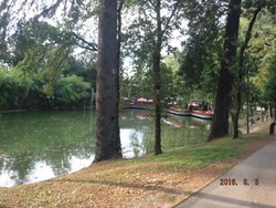 2016_0803_20424900.jpg