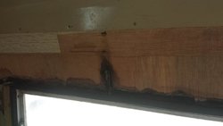 20160901_154336.jpg 20160901_154336.jpg