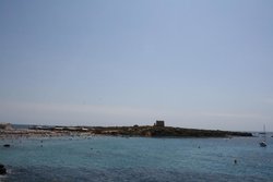 IMG_5845.jpg