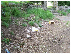 basura.jpg
