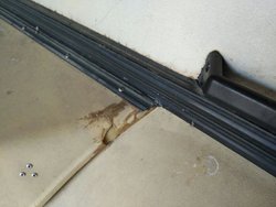 IMG-20160909-WA0006.jpg IMG-20160909-WA0006.jpg