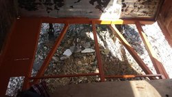 20160908_155224.jpg