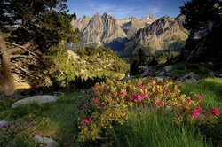 parc_nacional_daiguestortes_i_estany_de_sant_maurici_0.jpg