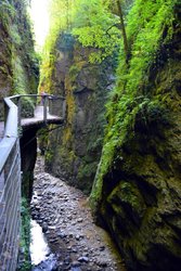DSC_0175.jpg