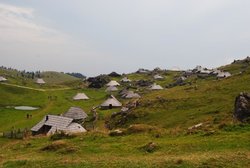 DSC_0017 (2).jpg