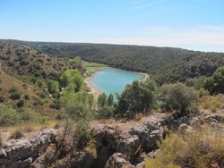 IMG_4867.jpg