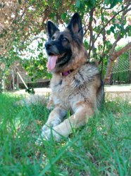 IMG-20161001-WA0016.jpg
