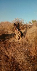 IMG-20161001-WA0013.jpg