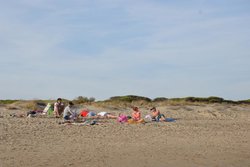 DSC_0296 -1.jpg