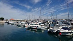 DSC_2540 -1.jpg