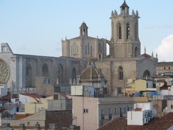 IMG_4927.jpg