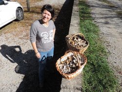 moncayada boletaira 024.jpg
