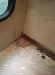 IMG_20161105_111302.jpg