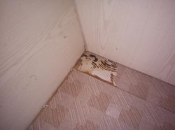 IMG_20161105_101528.jpg