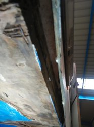 IMG_20161119_100936.jpg