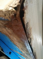 IMG_20161119_102151.jpg