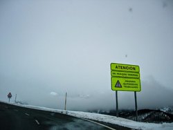 P1040710.jpg