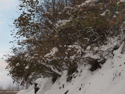 2016_2926.JPG