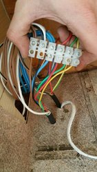 20161127_125933.jpg