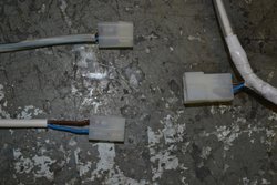 DSC_0839.jpg