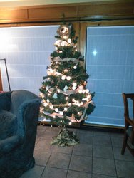 IMG_20161206_212510.jpg