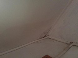 Image1481536679.065217.jpg