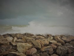DSCN1029.jpg