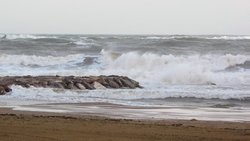 DSCN1021.jpg