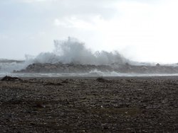 DSCN1037.jpg