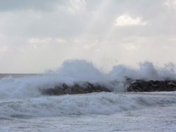 DSCN1043.jpg