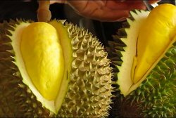 durian-fruta-peor-olor-mundo.jpg