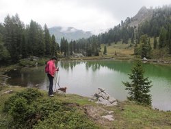 IMG_4003.jpg