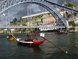 P7010081.jpg