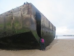 IMG_3571.jpg