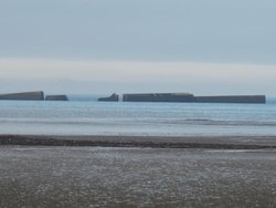 IMG_3564.jpg