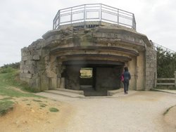 IMG_3559.jpg